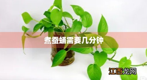 煮蚕蛹几分钟能熟 煮蚕蛹需要几分钟