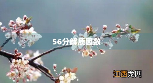 56分解质因数