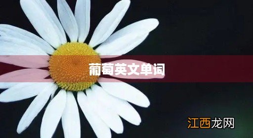 葡萄英文单词复数怎么读 葡萄英文单词