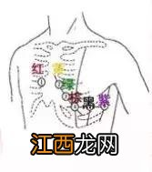 三导联心电图 心电图胸导联位置