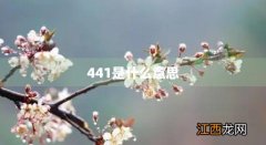 441是什么材料 441是什么意思