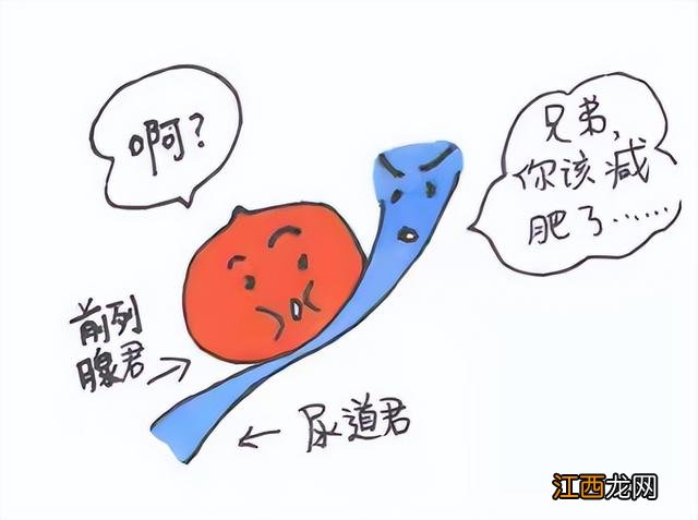 前列腺管堵塞怎么疏通 腺管堵塞怎么疏通