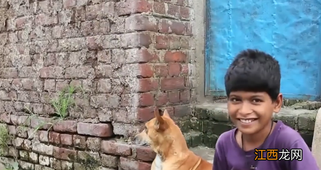 猪奶为什么没人喝 狗奶人能喝吗