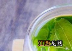 桑叶茶的功效与作用 桑叶茶的功效与作用和副作用