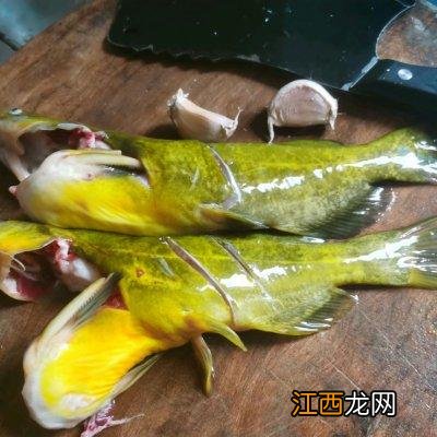 黄鸭叫炖豆腐加冷水还是热水 黄鸭叫炖豆腐