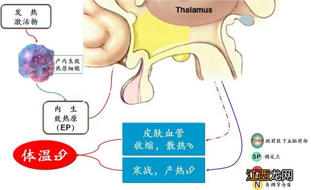 退烧药美林过期了还能吃吗? 退烧药美林