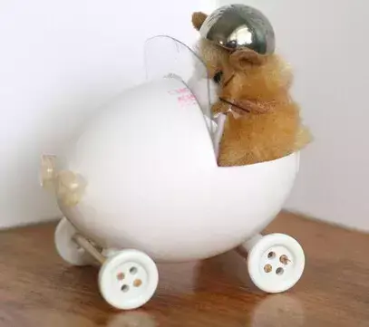 鸡蛋手工作品 幼儿园 鸡蛋手工