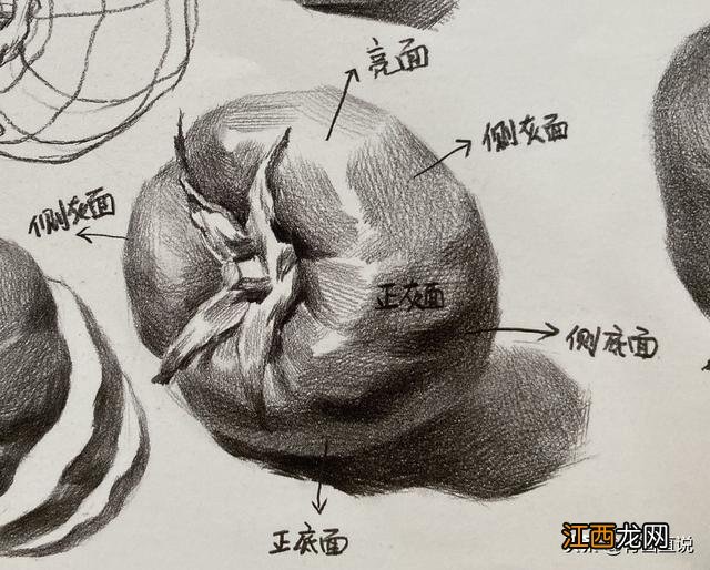 黄瓜的简笔画 西红柿的简笔画