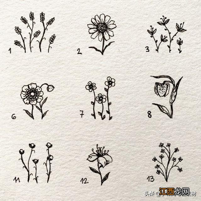 草坪上的小花小草简笔画 小花小草简笔画