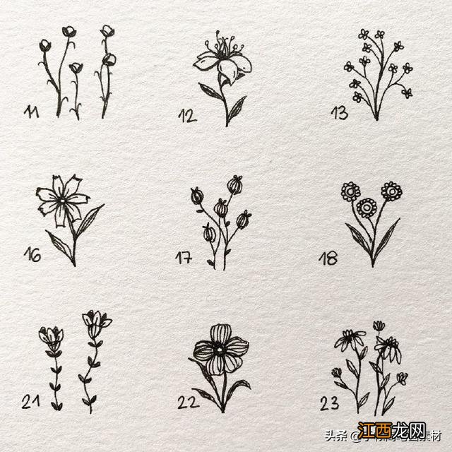 草坪上的小花小草简笔画 小花小草简笔画