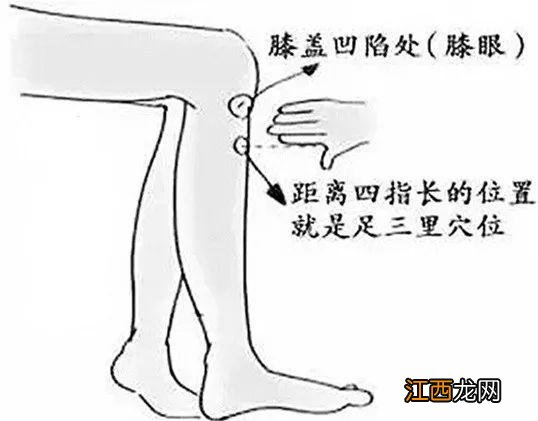 三伏天艾灸哪里效果最好 三伏天艾灸哪里