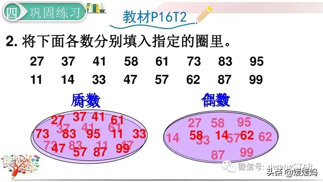 51是质数吗 5是质数吗