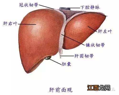 婴儿肚脐贴有什么作用 婴儿肚脐贴