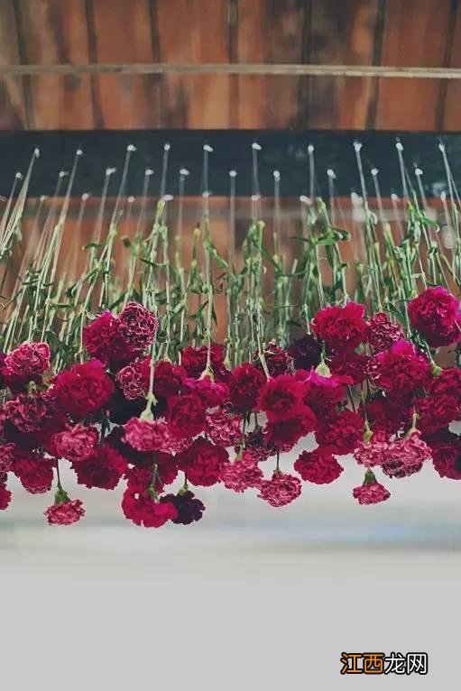 冬天环创幼儿园主题墙 环创幼儿园主题墙