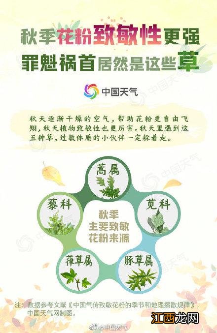 对眼泪过敏的症状图片 眼泪过敏症