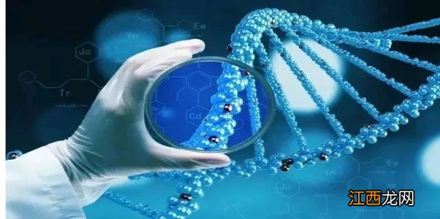 氢氧机十大品牌排行 富氢水的作用十大功效