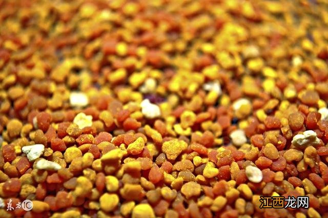 蜂王浆对身体有什么好处 吃蜂王浆的好处