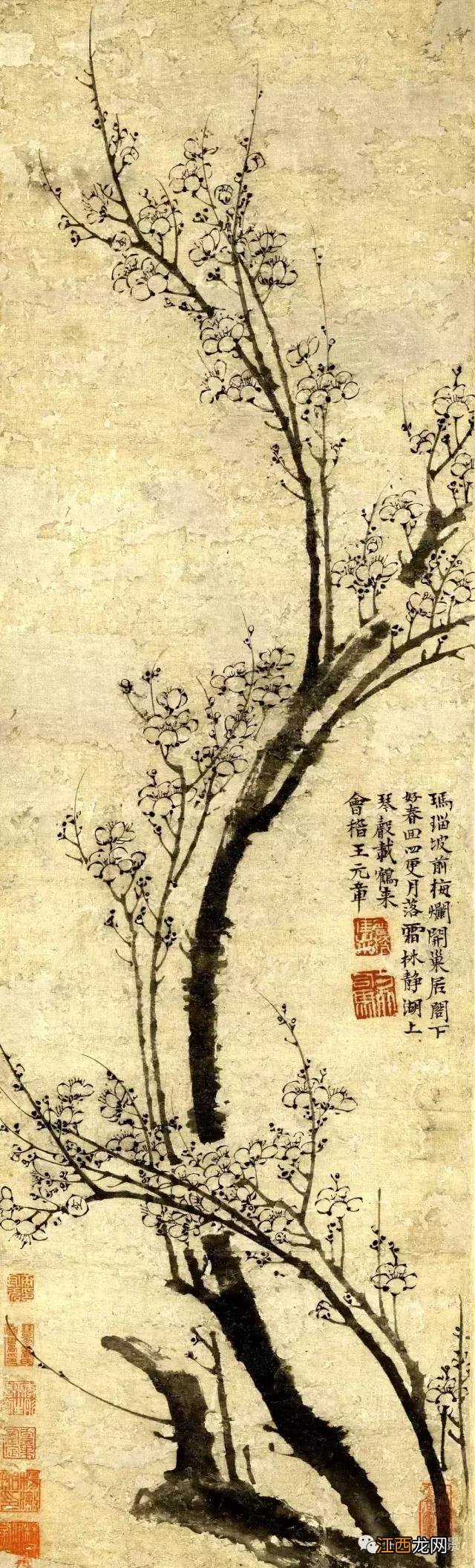 赠岭上梅诗意是什么 赠岭上梅