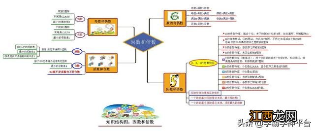 五年级下册英语思维导图