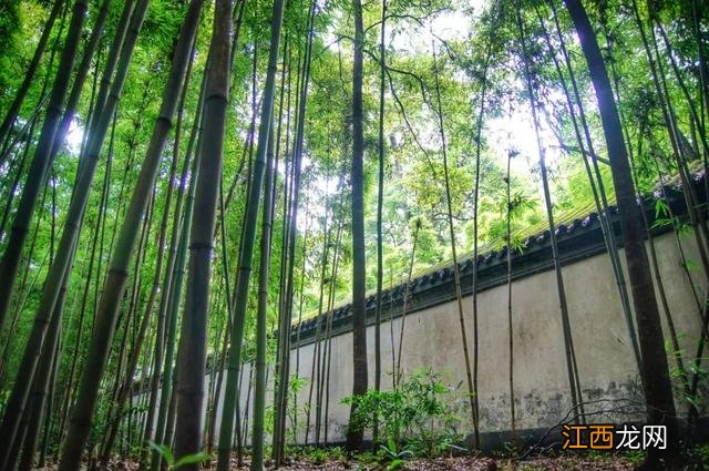 青山独归远的下一句 青山独归远上一句