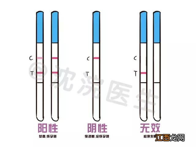 卵泡大小正常范围是多少mm 正常卵泡大小是多少mm