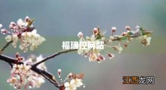 福瑞控股有限公司 福瑞控网站