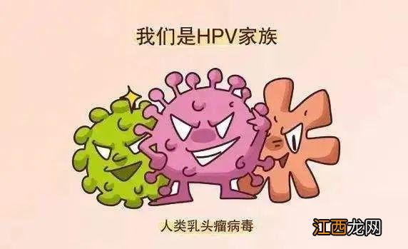 男性检查hpv多久出结果 hpv多久出结果