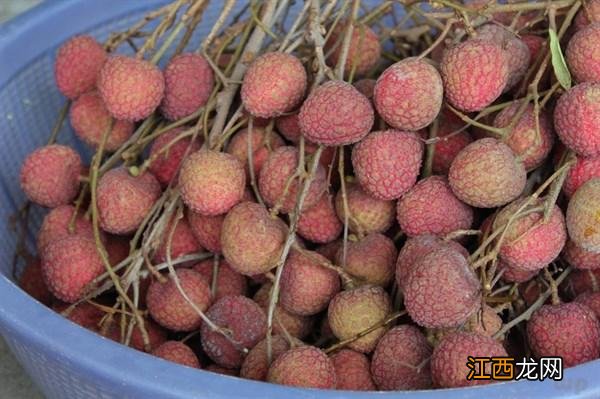 椰子水会发胖吗 椰子热量高吗