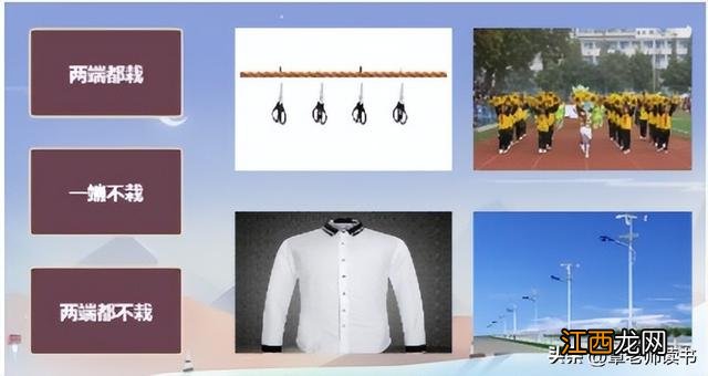 植树过程和感受 植树过程