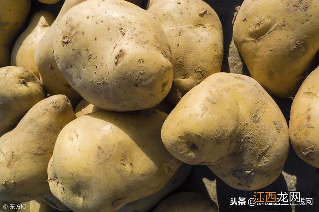 苦瓜泡一物三天血糖降 血糖高可以吃土豆吗