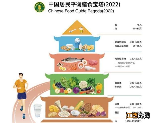 饮食营养与健康论文 饮食营养与健康