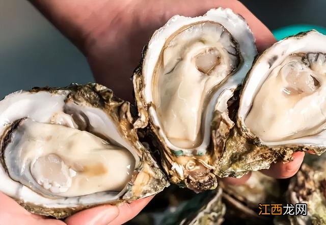 经期可以吃生蚝吗 新闻 经期可以吃生蚝吗