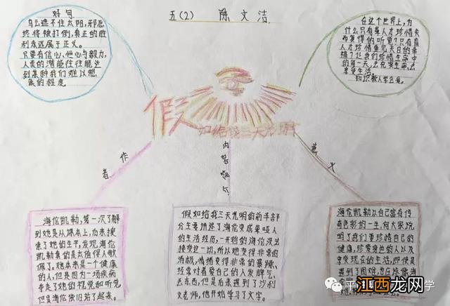 观察物体手抄报简单又漂亮二年级 观察物体手抄报