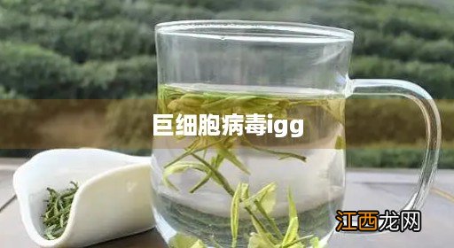 巨细胞病毒igg偏高 巨细胞病毒igg