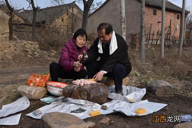 猪的胰岛图片 猪胰图片