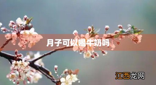 月子里奶不够吃怎么办 月子可以喝牛奶吗