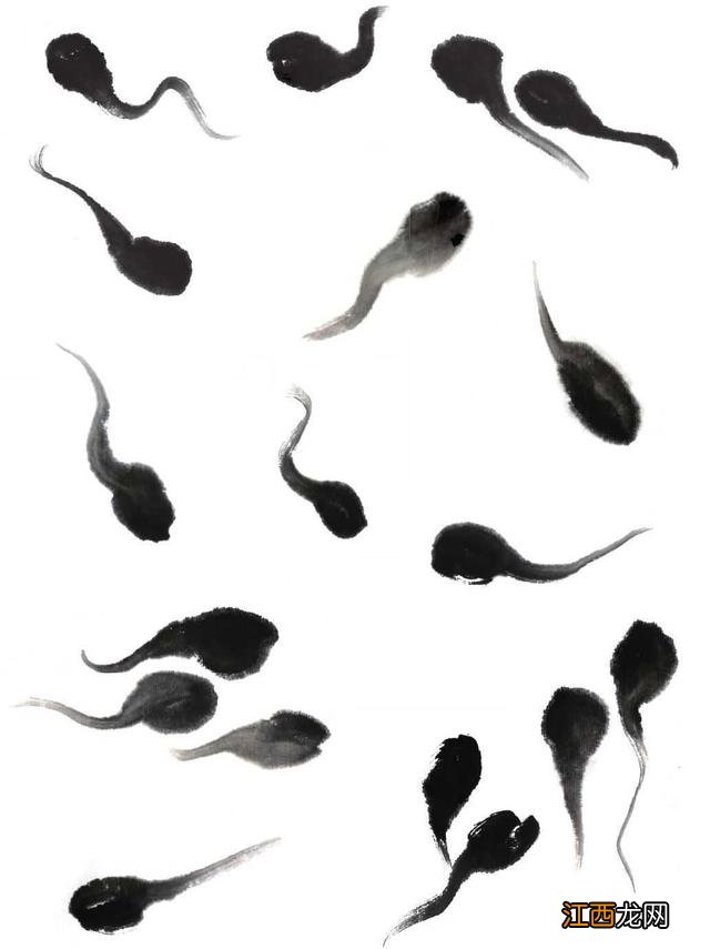 二年级的小蝌蚪怎么画 蝌蚪怎么画