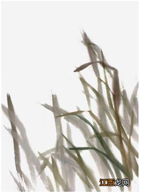 二年级的小蝌蚪怎么画 蝌蚪怎么画