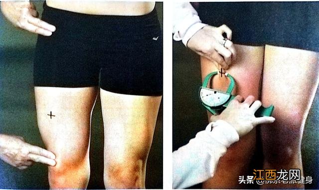 体脂测量仪的原理 体脂测量