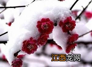 四时田园杂兴拼音版古诗范成大 四时田园杂兴拼音