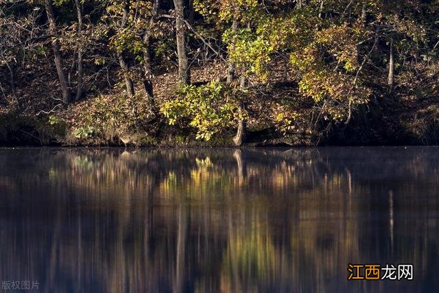 瑞吉欧案例《影子的故事》 影子的故事