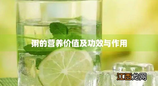 最养胃的6种早餐 粥的营养价值及功效与作用