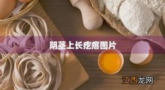 阴茎上长疙瘩图片