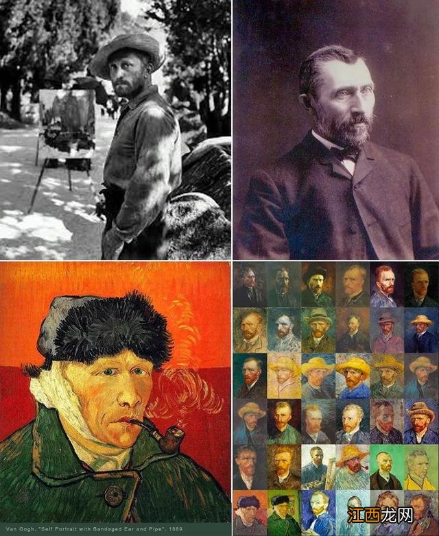 鸢尾花简笔画教程 鸢尾花简笔画