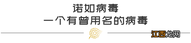 诺如病毒潜伏期多久 诺如病毒潜伏期