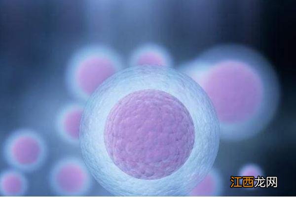 月经干净后几天同房容易怀孕吗 月经干净后几天同房容易怀孕