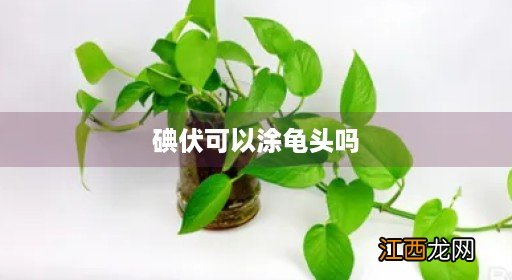 碘伏可以涂龟头吗