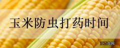 玉米防虫打药时间 玉米害虫什么时间打药