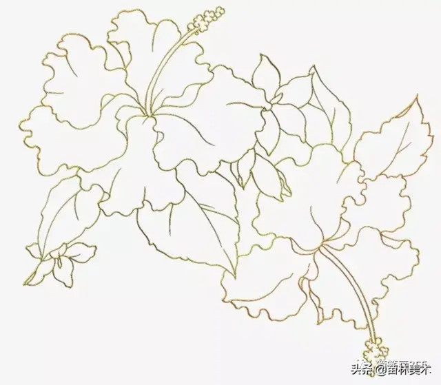 花的线描画 花简笔画彩色