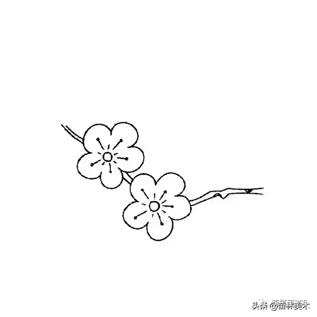 花的线描画 花简笔画彩色